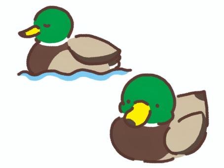 第8回 バリアフリー探鳥会